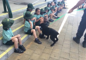 Police and their Puppies Visit Year 1